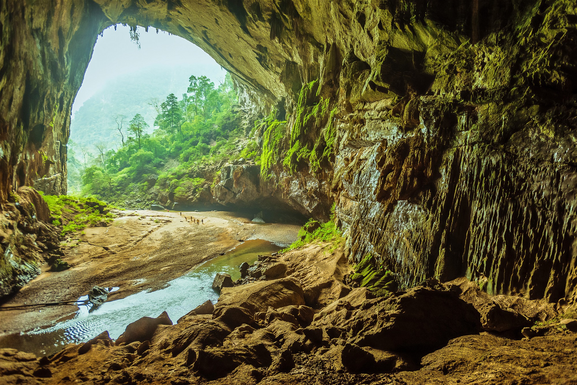 phong nha tour