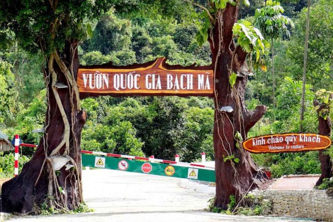 Bach Ma National Park Vietnam Discovery Travel - 